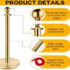 Gold Bollards/Stanchions