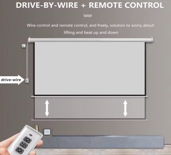 Projector Screen- Motorised